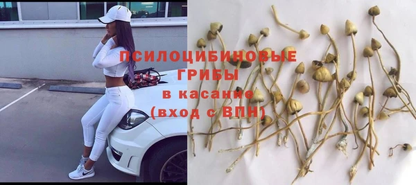 прущий лед Алзамай