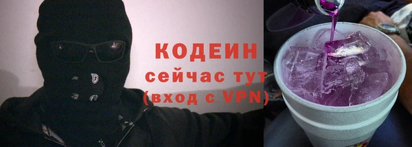 прущий лед Алзамай
