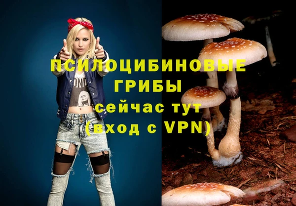 прущий лед Алзамай