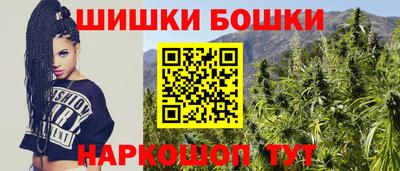 хмурый Шелехов