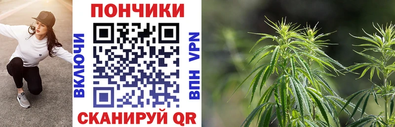 Бошки марихуана Amnesia  Новомосковск 